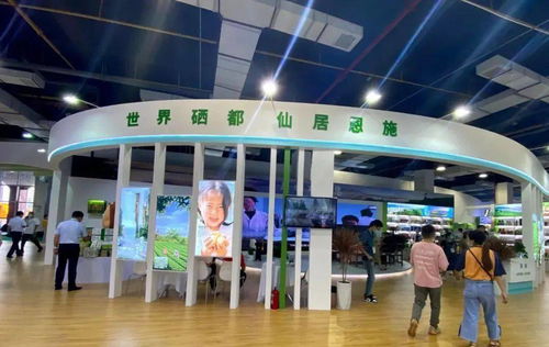 建南多款產品閃耀硒博會，舞今信息引領科技新風尚